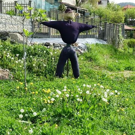 Chi Ghinn فندق فيربانيا