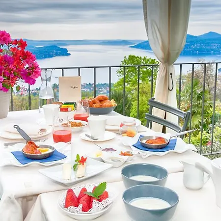 Chi Ghinn ヴェルバーニア