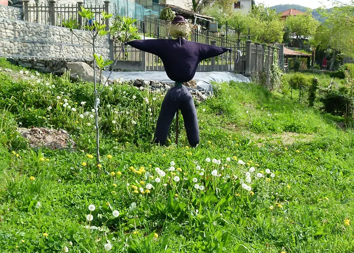 Chi Ghinn فندق فيربانيا